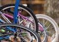 Significant increase in bicycle thefts in Kilkenny according to Green Party Councillor Maria Dollard