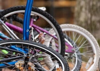 Significant increase in bicycle thefts in Kilkenny according to Green Party Councillor Maria Dollard