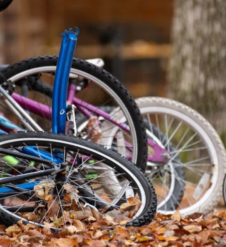 Significant increase in bicycle thefts in Kilkenny according to Green Party Councillor Maria Dollard