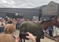 Hundreds gather in Carlow to celebrate Hewick’s retirement