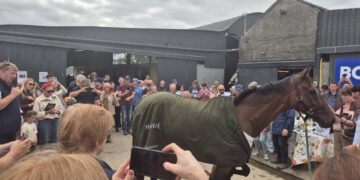 Hundreds gather in Carlow to celebrate Hewick’s retirement