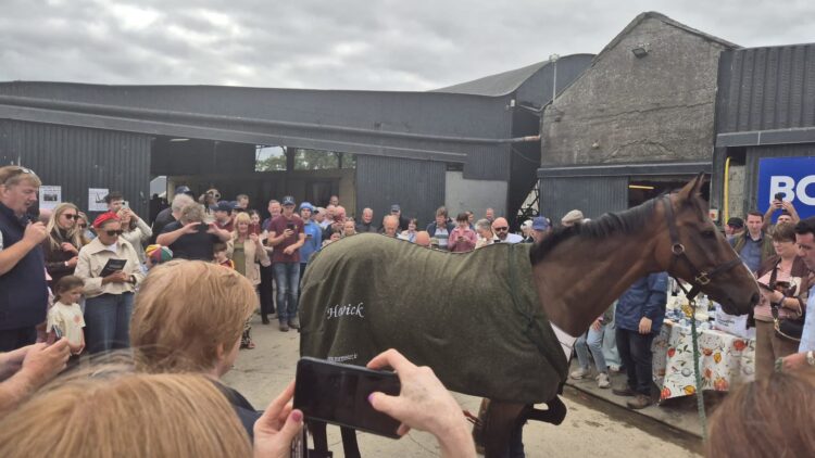 Hundreds gather in Carlow to celebrate Hewick’s retirement