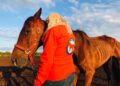 Animal welfare group hits out at what it says its team witnessed at a county Carlow event