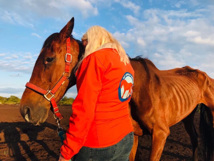 Animal welfare group hits out at what it says its team witnessed at a county Carlow event