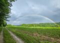 No major issues reported so far in Carlow and Kilkenny following downpour