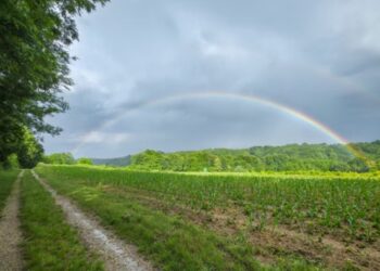 No major issues reported so far in Carlow and Kilkenny following downpour