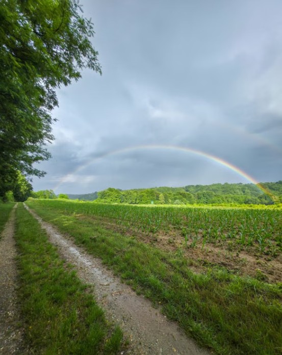 No major issues reported so far in Carlow and Kilkenny following downpour