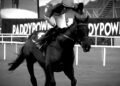 Two-Time Cheltenham Gold Cup Hero Galopin Des Champs Dies Days After Retirement