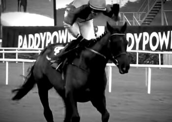 Two-Time Cheltenham Gold Cup Hero Galopin Des Champs Dies Days After Retirement