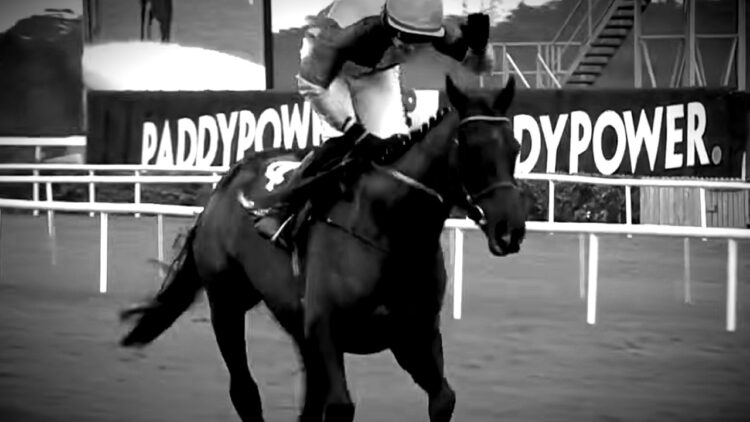 Two-Time Cheltenham Gold Cup Hero Galopin Des Champs Dies Days After Retirement