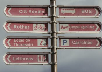 Carlow MEP Cynthia Ní Mhurchú hails significant day for the Irish language