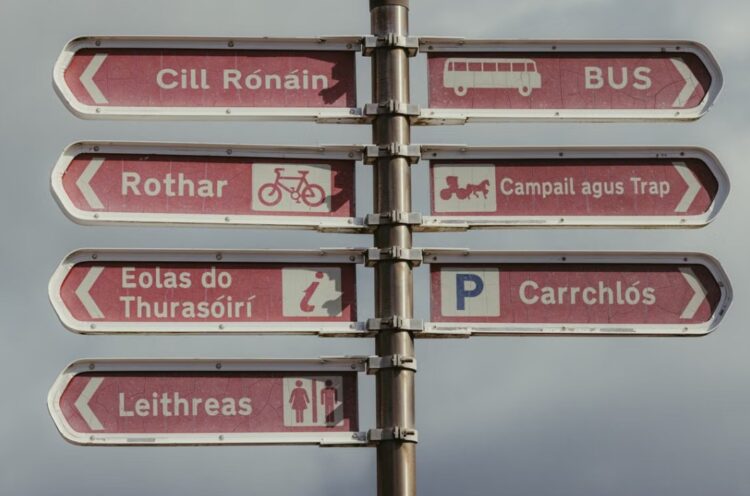 Carlow MEP Cynthia Ní Mhurchú hails significant day for the Irish language
