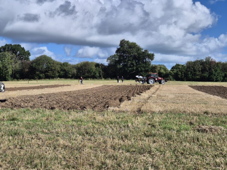 Carlow and Kilkenny plough crews hoping for more success at the National Ploughing Championships today