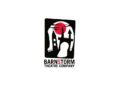 Barnstorm Theatre Company to open free retrospective exhibition in Kilkenny