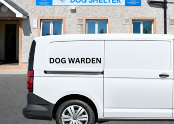 Kilkenny Council urging owners to clean up after their pets