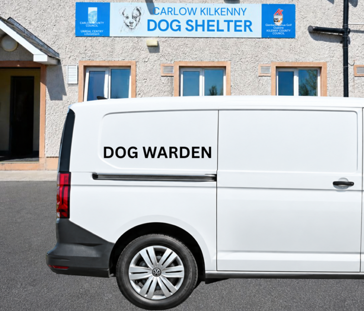 Kilkenny Council urging owners to clean up after their pets