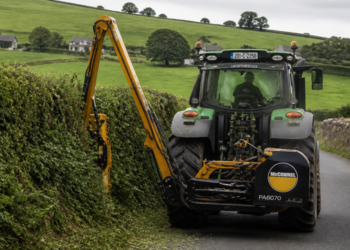 Councillor calls for action on roadside hedges across Carlow