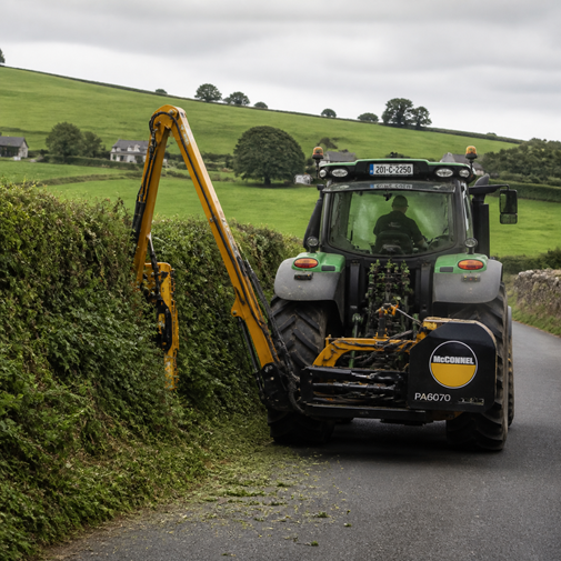 Councillor calls for action on roadside hedges across Carlow