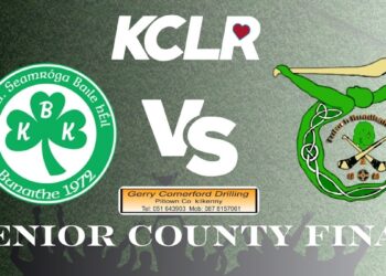 Hurling: Camross v Mount Leinster Rangers, AIB Leinster Intermediate Club Championship First Round