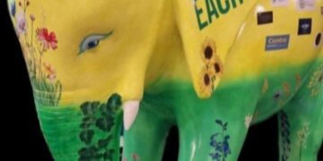 Carlow Mental Health to roll out month-long Mensana Programme