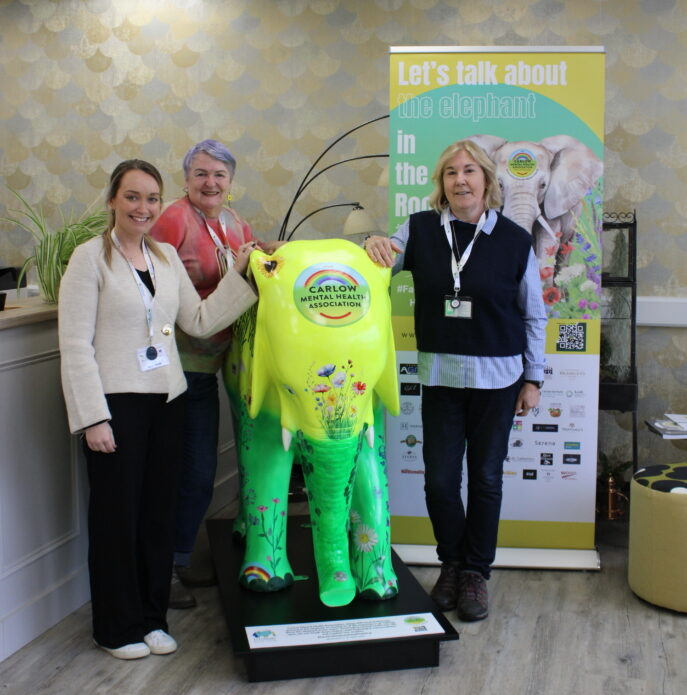 Carlow’s LUNA the Elephant finds permanent home to mark World Mental Health Day