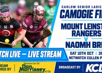 Camogie: Setanta v Muinebheag, Azap Print Carlow Intermediate Camogie Final