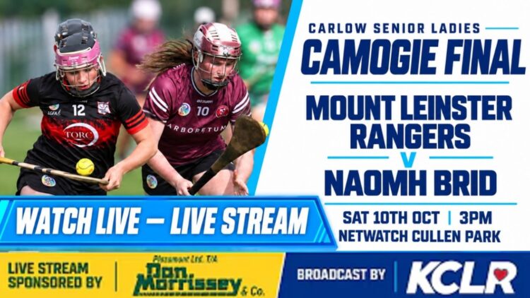 Camogie: Setanta v Muinebheag, Azap Print Carlow Intermediate Camogie Final