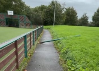 Vandalism slammed by Kilkenny Cllr Eugene McGuinness after a number of local amenities damaged this week