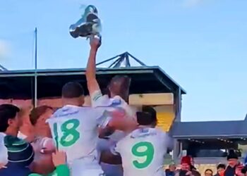 “A Complete Performance” — Ballyhale Shamrocks Crowned Kilkenny Champions for 22nd Time