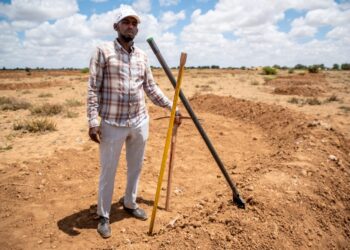 Impact of climate change and the fight to combat it is to the fore of special series this week on KCLR