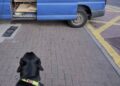 No dog fouling fines issued last year in Carlow or Kilkenny but there were over 200 for parking on footpaths
