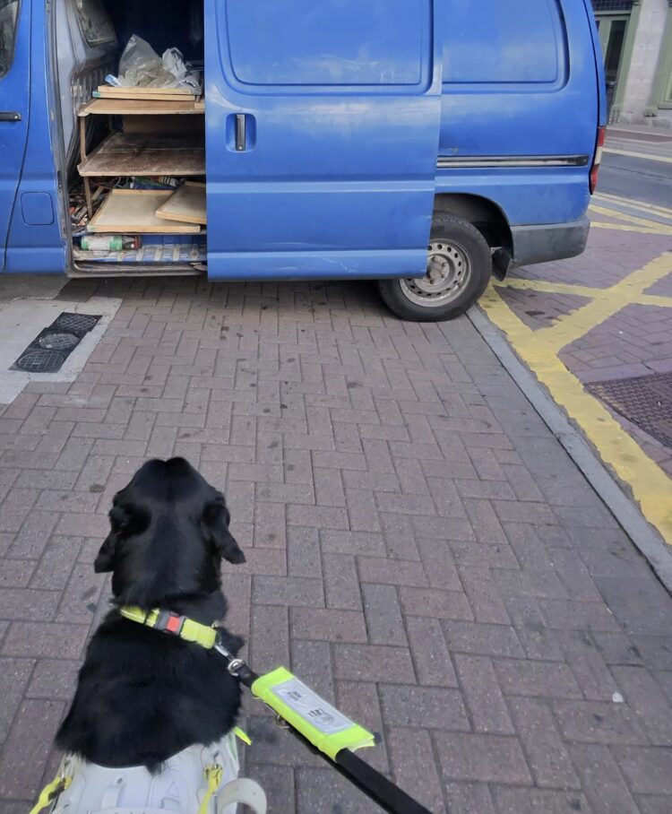 No dog fouling fines issued last year in Carlow or Kilkenny but there were over 200 for parking on footpaths