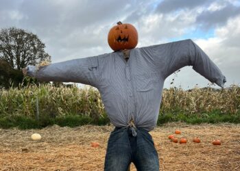 Hallowe’en fun continuing in Carlow and Kilkenny as school midterm takes hold