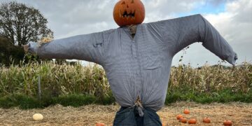 Hallowe’en fun continuing in Carlow and Kilkenny as school midterm takes hold