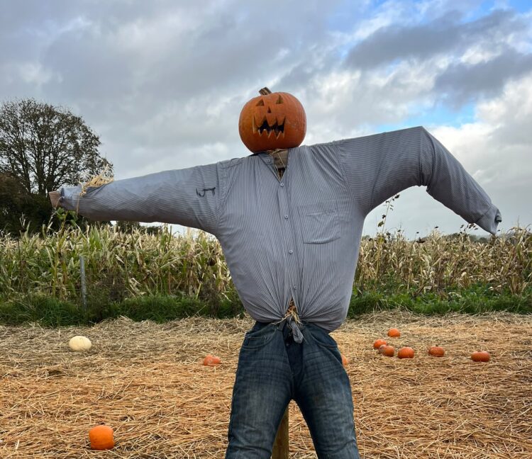 Hallowe’en fun continuing in Carlow and Kilkenny as school midterm takes hold