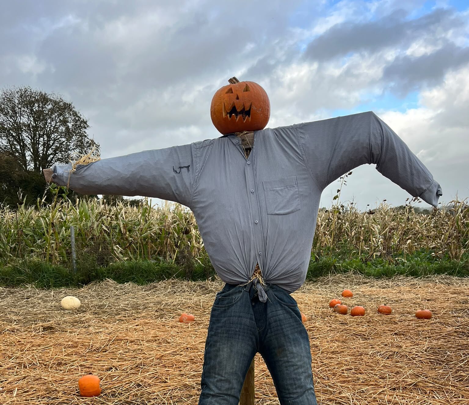 Hallowe'en fun continuing in Carlow and Kilkenny as school midterm takes hold