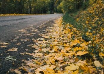 Care needed with debris on some routes across Kilkenny and Carlow